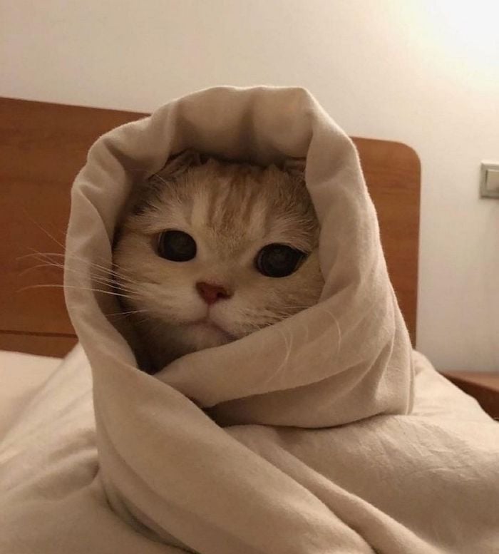 섹스리스부부에서 섹에 미친 부부 됐습니다.JPG | 인스티즈