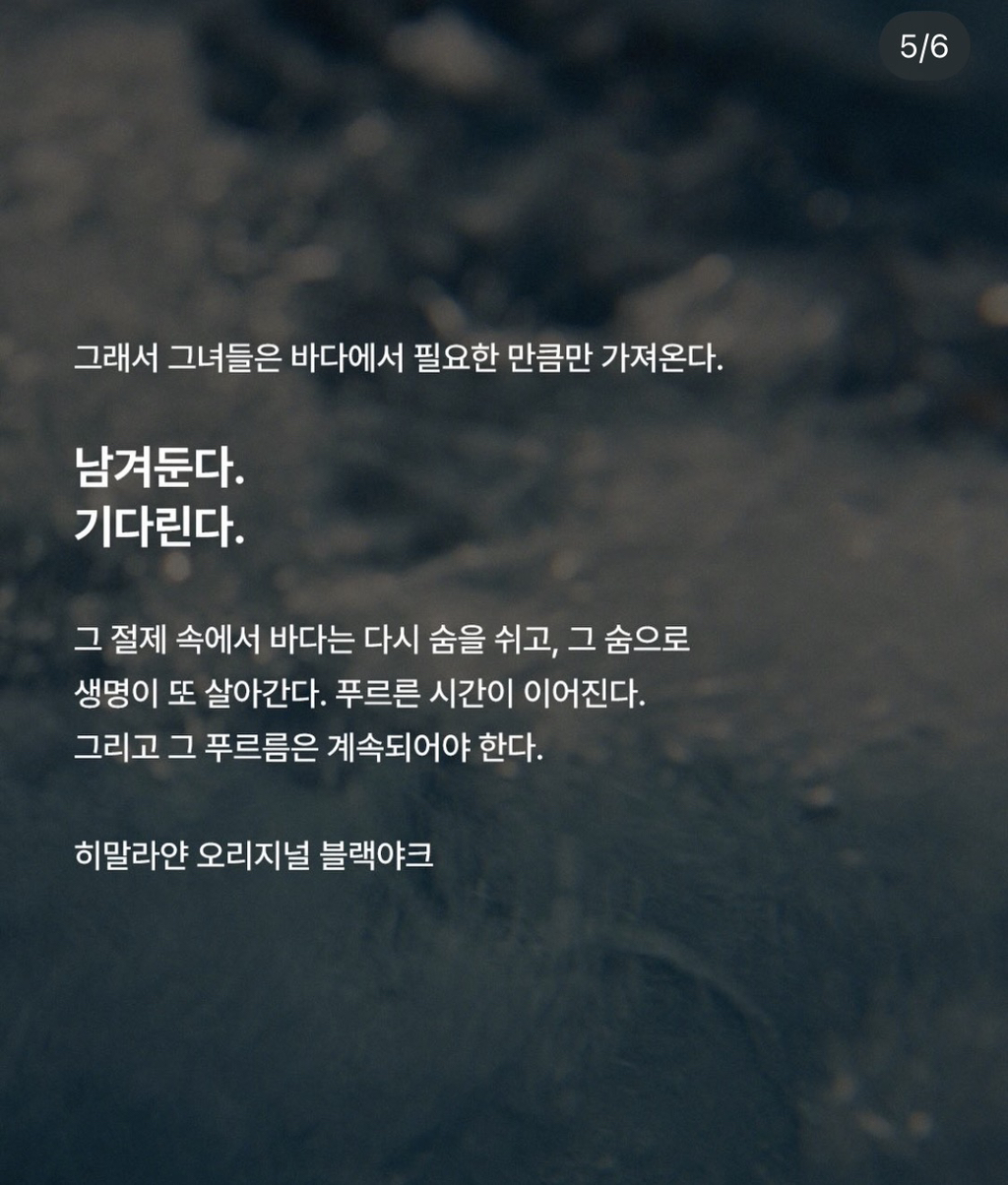 힙하다고 화제인 블랙야크 신규 화보 | 인스티즈