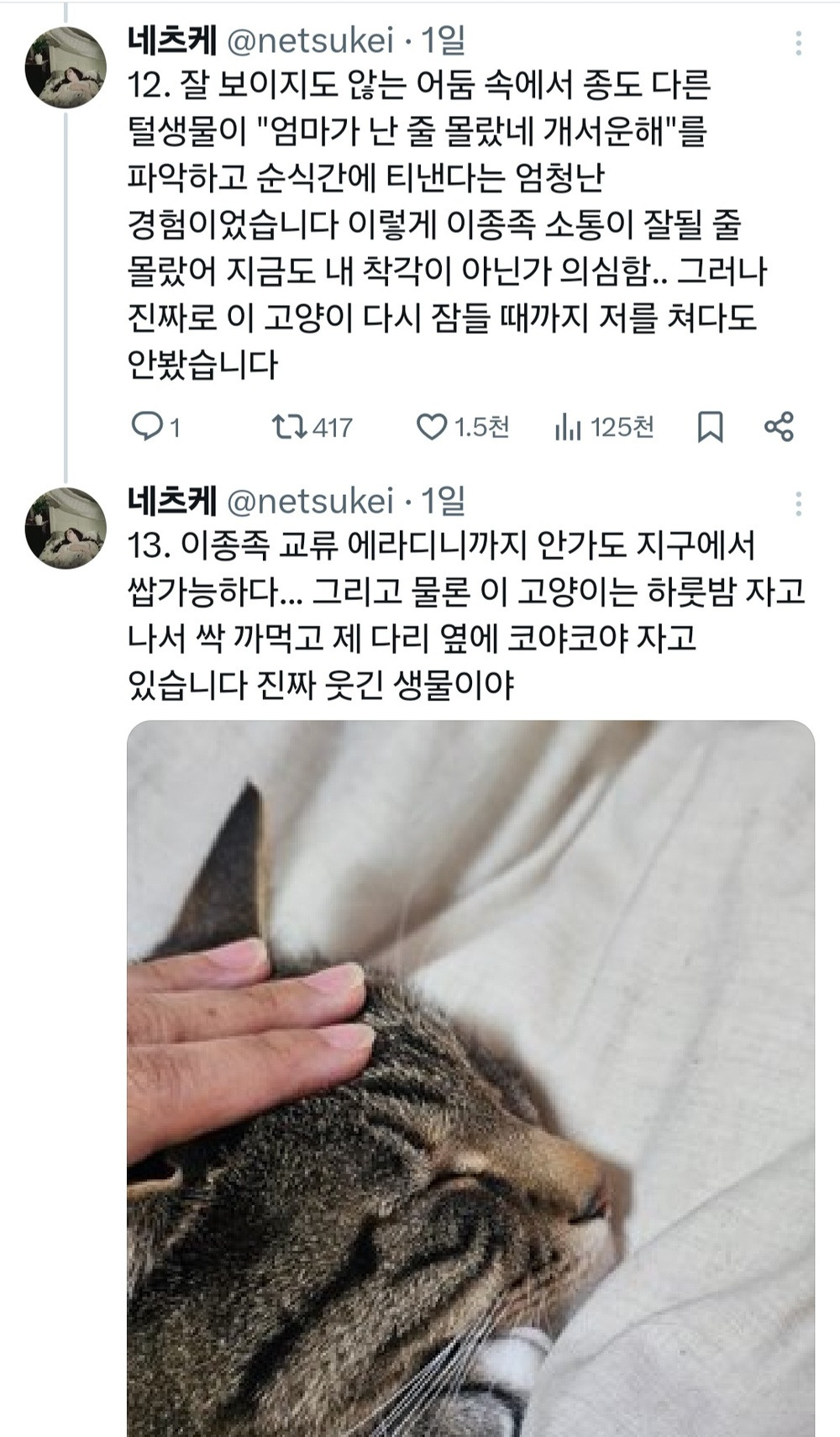 고양이가 서운할 만 했음.. vs 아니. 이건 정상참작의 여지가 있다고 봄..twt | 인스티즈