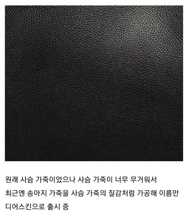 요즘 핫한 샤넬백 종류 | 인스티즈