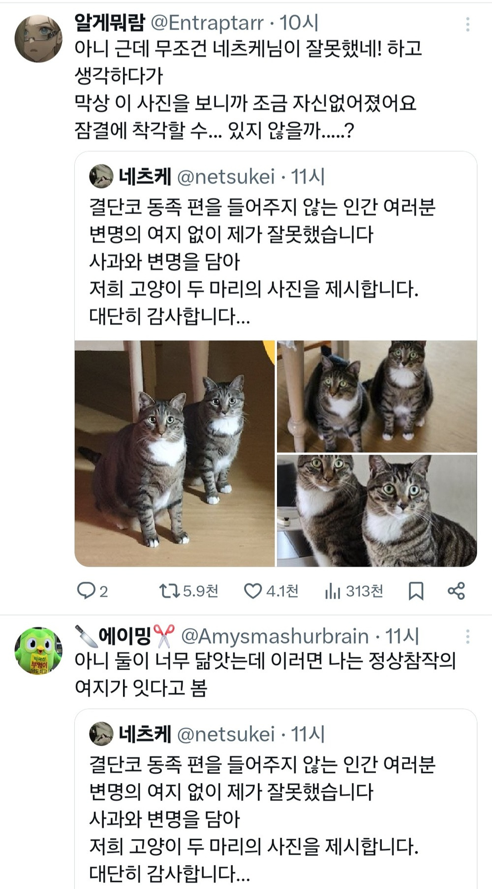 고양이가 서운할 만 했음.. vs 아니. 이건 정상참작의 여지가 있다고 봄..twt | 인스티즈
