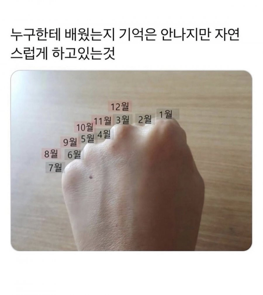 누구한테 배웠는지 기억 안나지만 자연스럽게 하고 있는 것 | 인스티즈