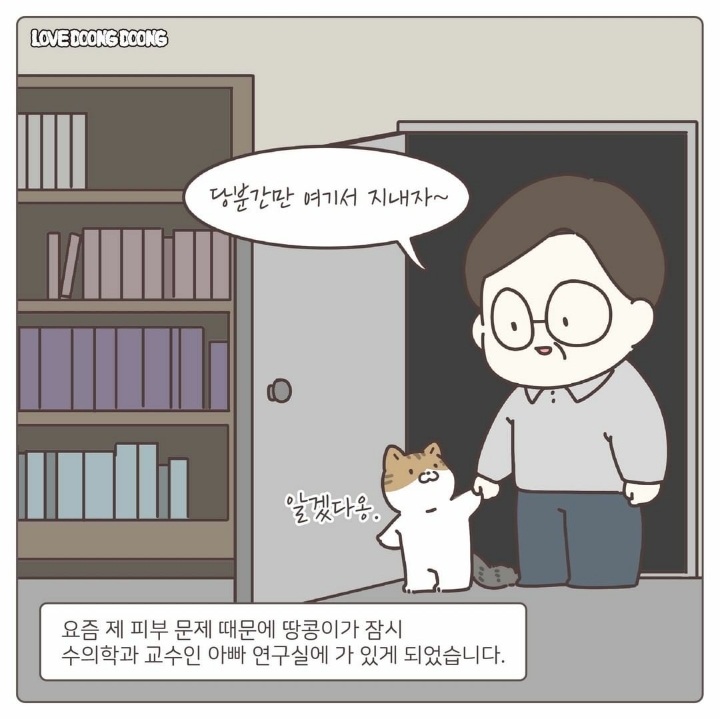 싸강중에 나타난 고양이 | 인스티즈