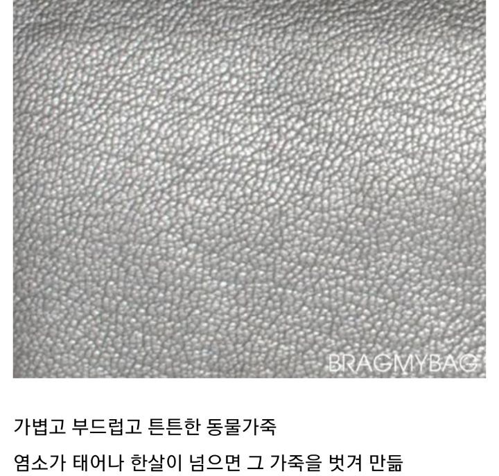 요즘 핫한 샤넬백 종류 | 인스티즈
