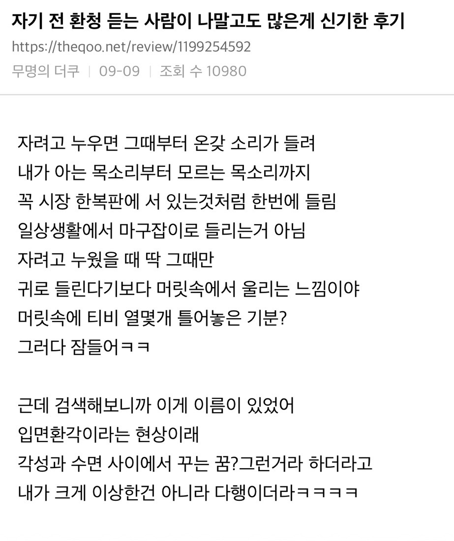 자기 전 환청 듣는 사람이 나말고도 많은게 신기한 후기 | 인스티즈