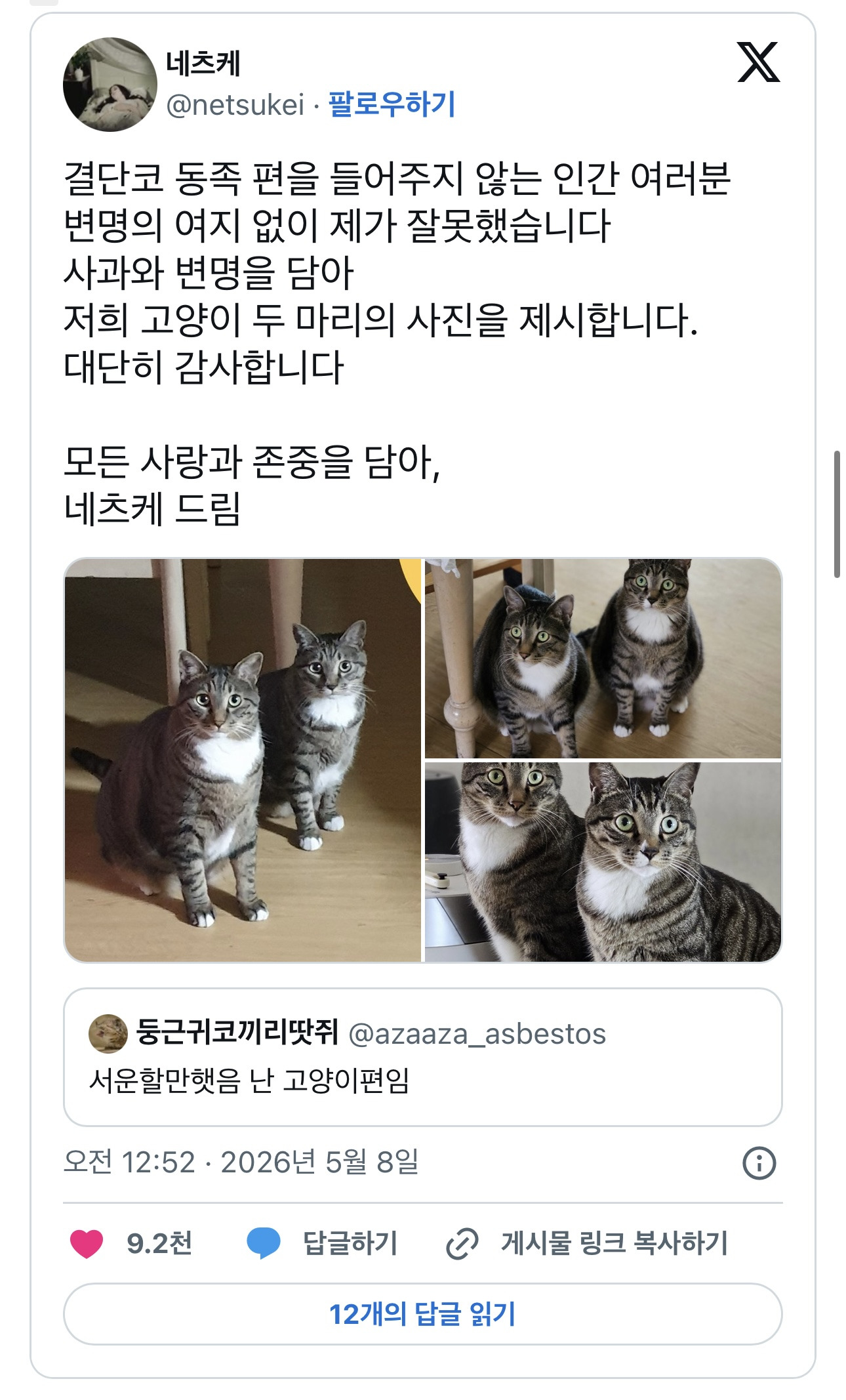 고양이가 서운할 만 했음.. vs 아니. 이건 정상참작의 여지가 있다고 봄..twt | 인스티즈
