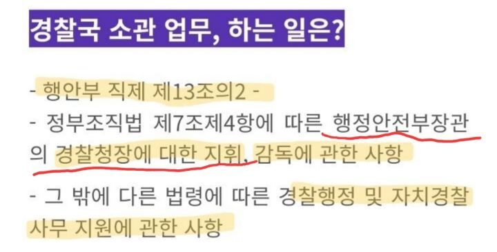 사고 전, 이미 경찰청에 이태원 할로윈 안전사고 우려 된다고 보고서 올렸던 용산 경찰서... 그러나...jpg | 인스티즈