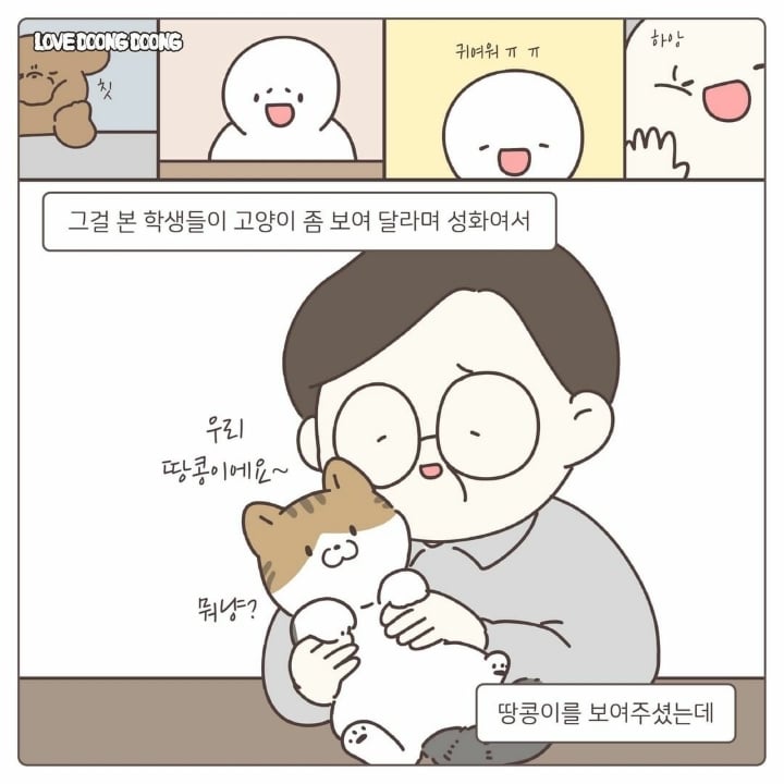싸강중에 나타난 고양이 | 인스티즈
