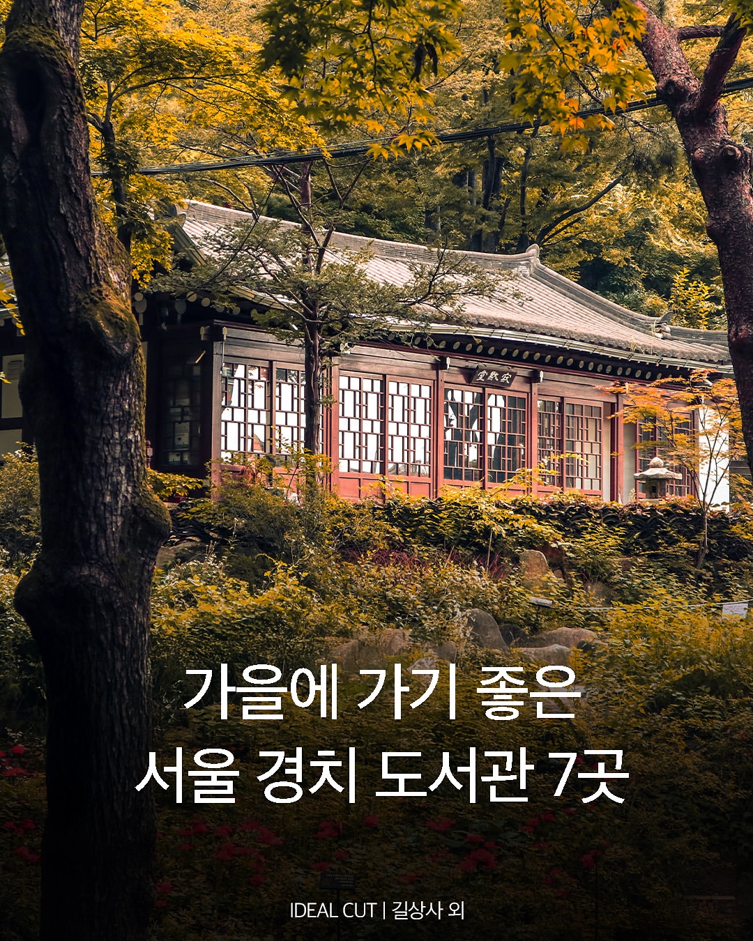 가을에 가기 좋은 서울 경치 도서관 7곳 | 인스티즈