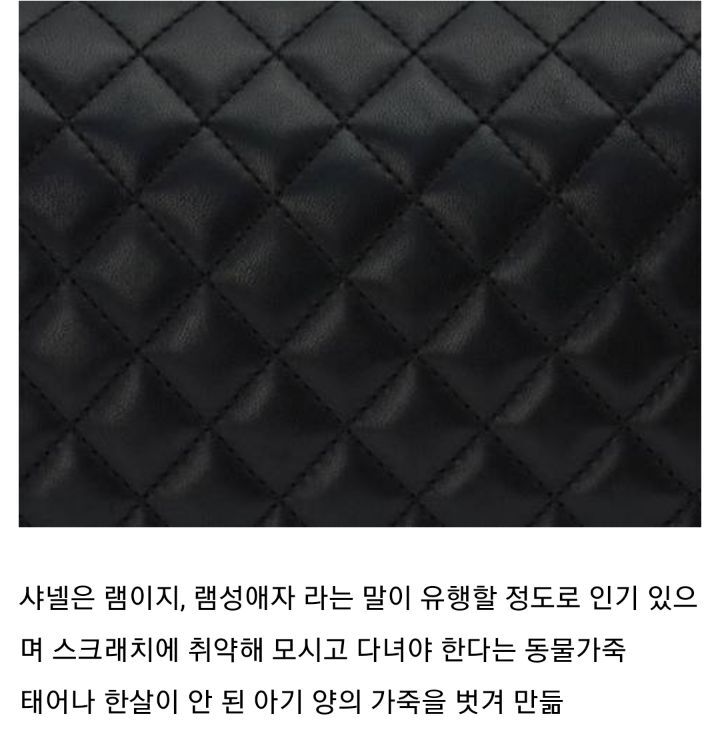 요즘 핫한 샤넬백 종류 | 인스티즈