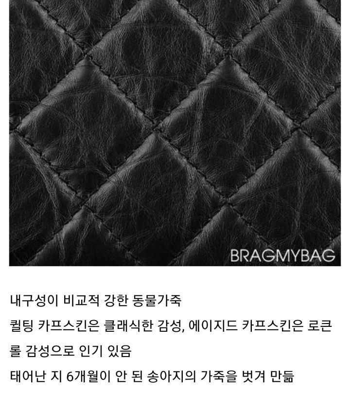 요즘 핫한 샤넬백 종류 | 인스티즈