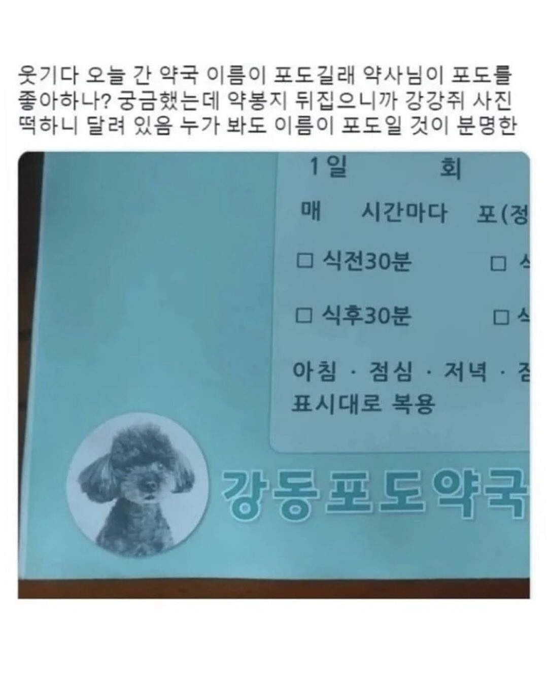 원주에 있는 꽤 웃긴 치과,,, | 인스티즈