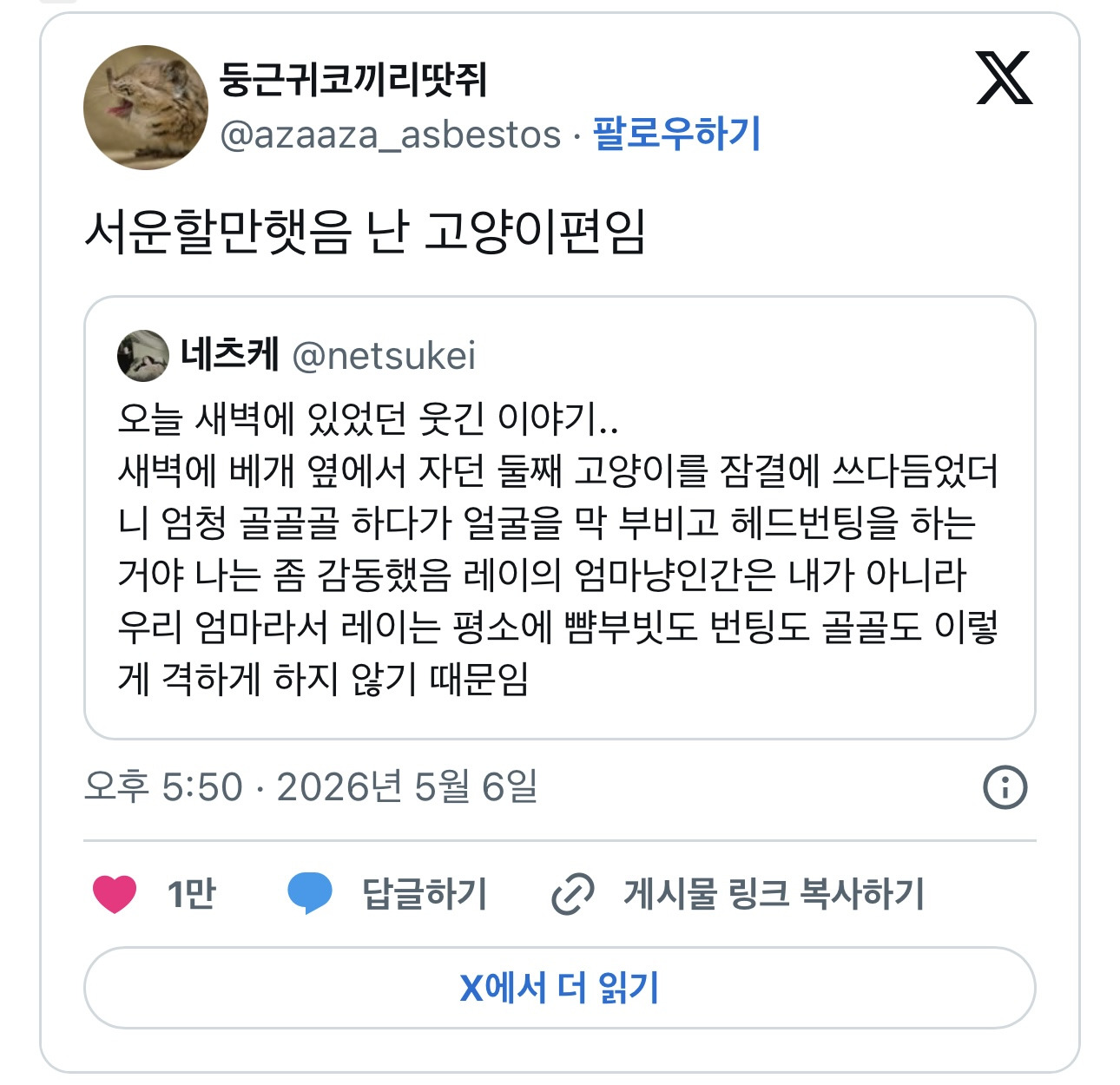 고양이가 서운할 만 했음.. vs 아니. 이건 정상참작의 여지가 있다고 봄..twt | 인스티즈