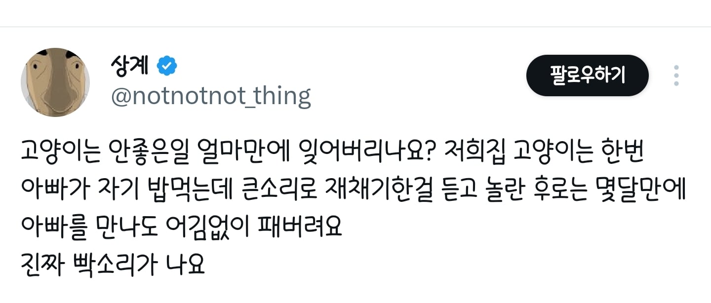 고양이는 안좋은일 얼마만에 잊어버리나요? 저희집 고양이는 한번 아빠가 | 인스티즈