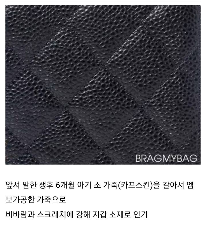 요즘 핫한 샤넬백 종류 | 인스티즈