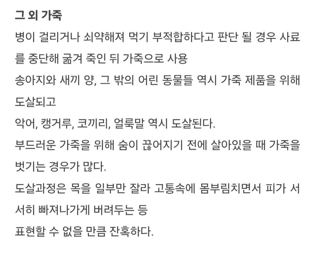 요즘 핫한 샤넬백 종류 | 인스티즈