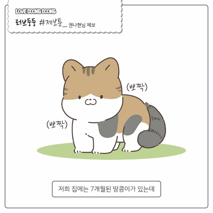 싸강중에 나타난 고양이 | 인스티즈