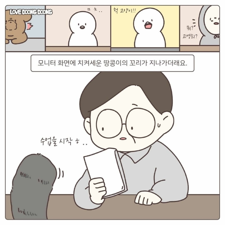 싸강중에 나타난 고양이 | 인스티즈