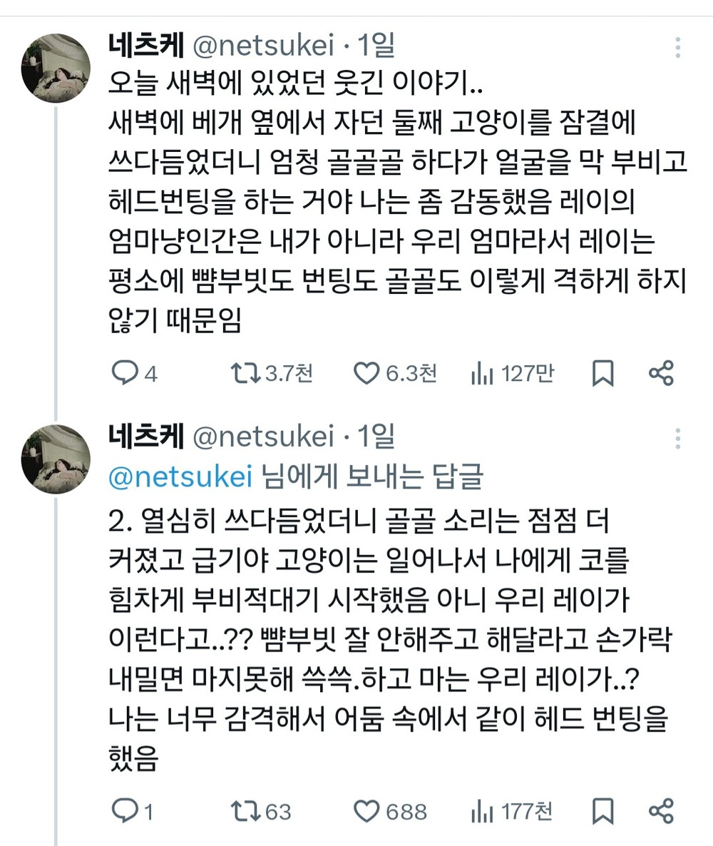 고양이가 서운할 만 했음.. vs 아니. 이건 정상참작의 여지가 있다고 봄..twt | 인스티즈