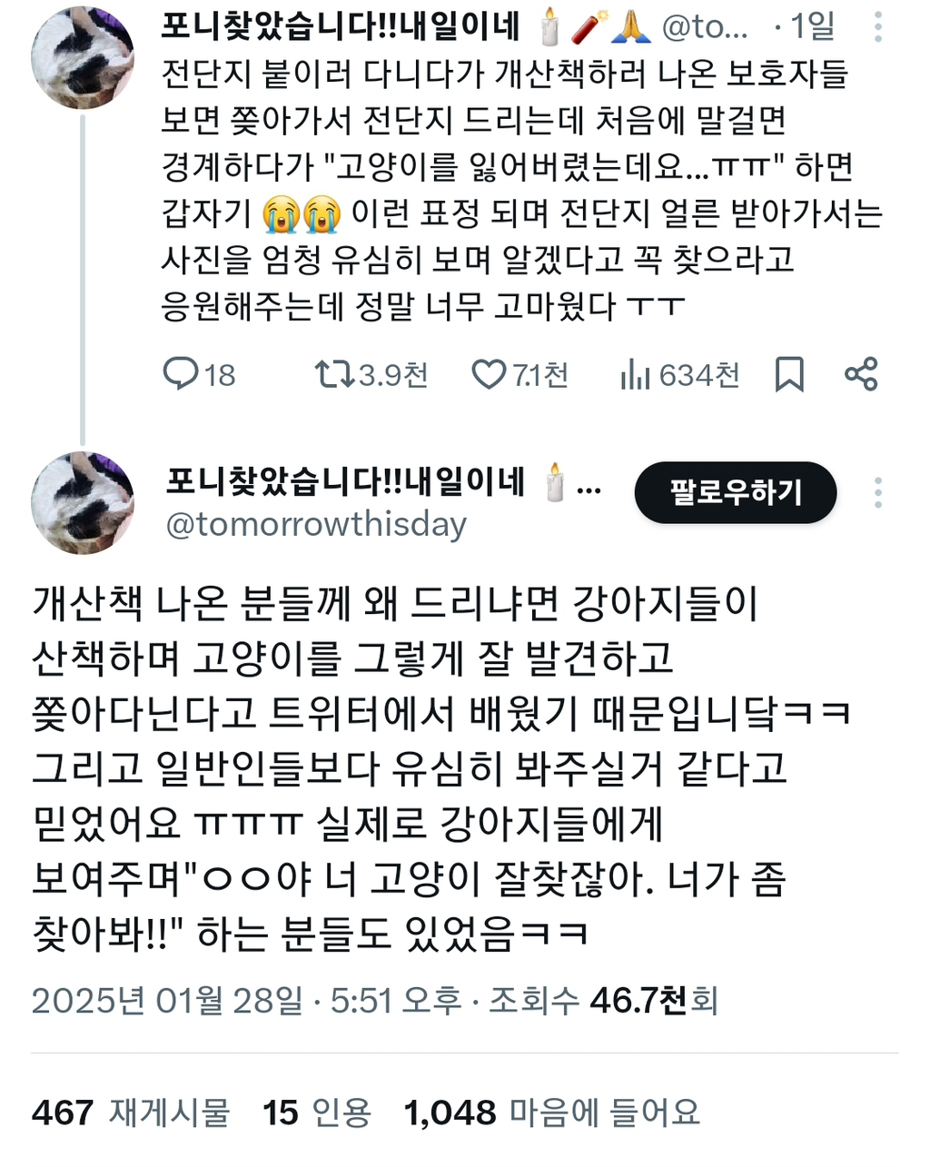 개산책하러 나온 보호자들 보면 쫒아가서 | 인스티즈