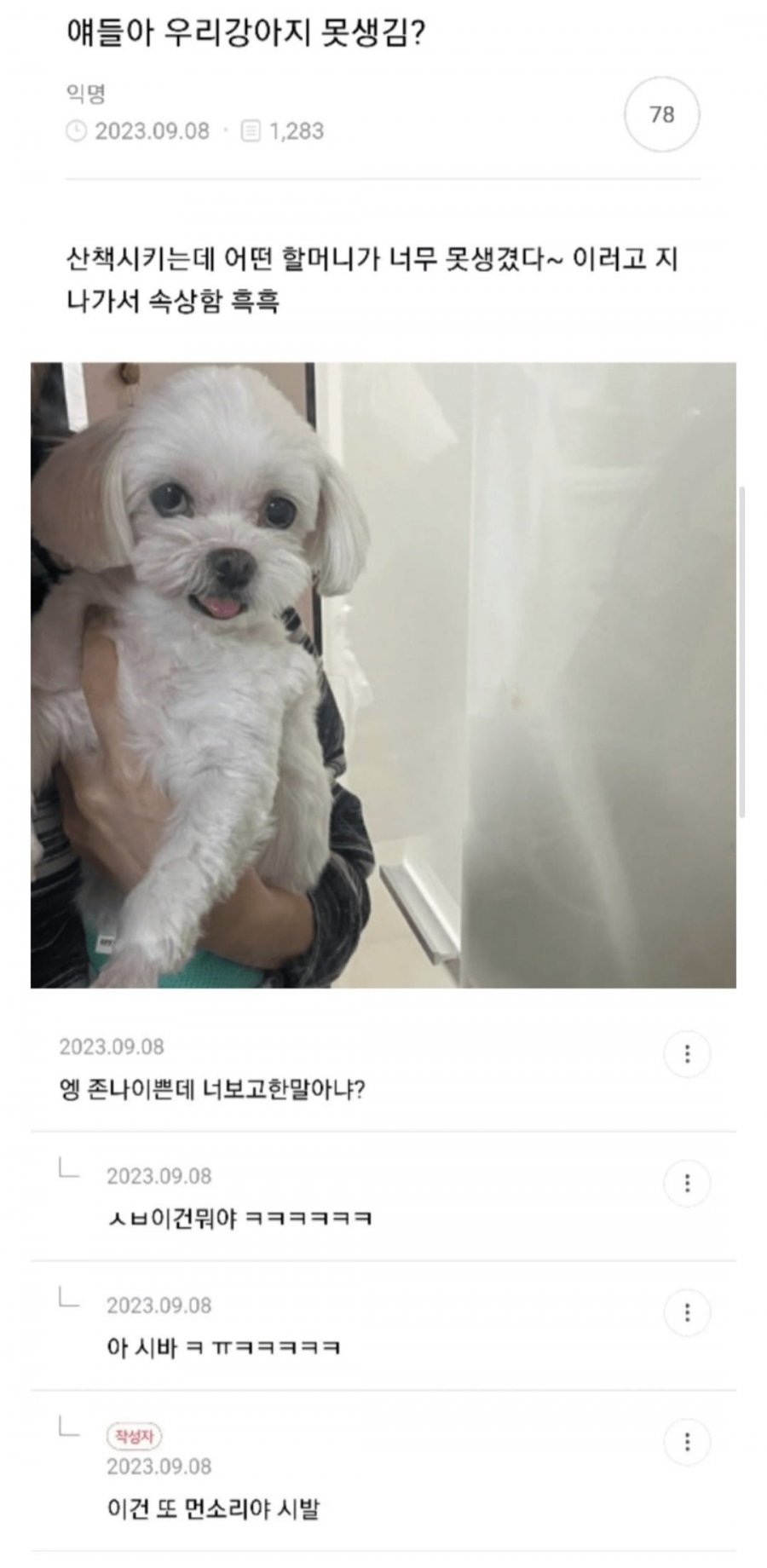 얘들아 우리 강아지 못생김? | 인스티즈