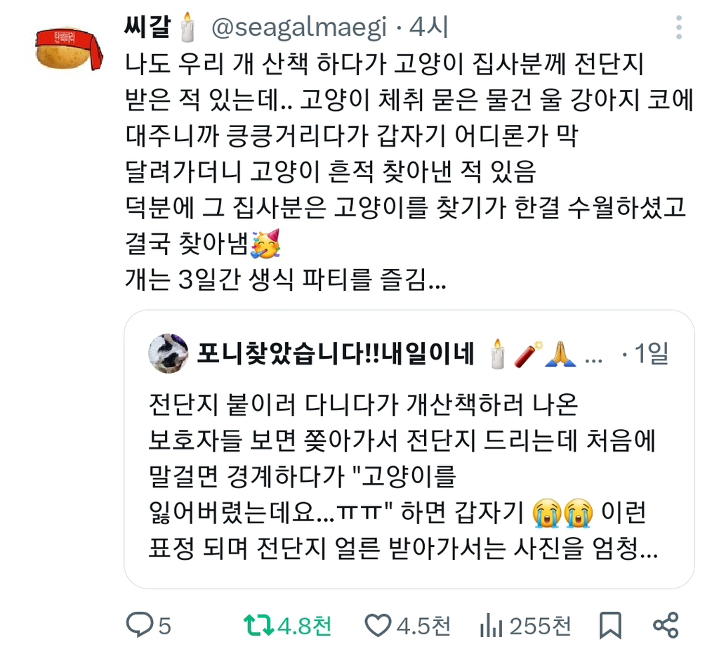 개산책하러 나온 보호자들 보면 쫒아가서 | 인스티즈