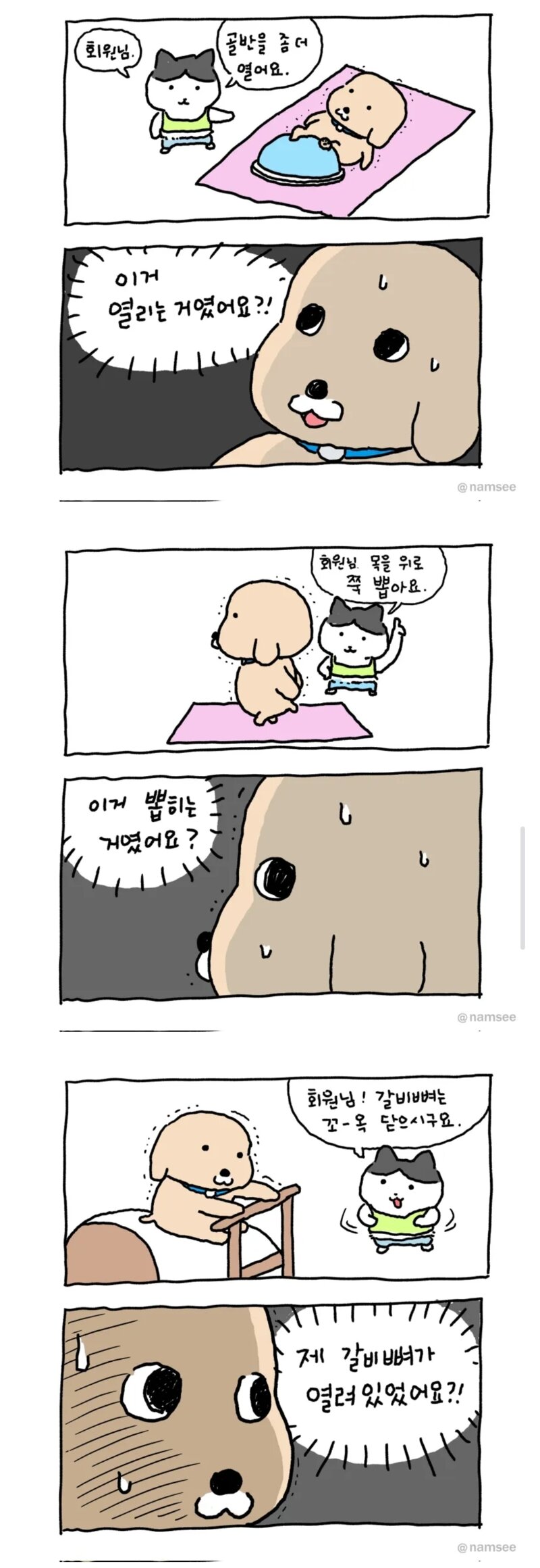 필라테스 강사 : 회원님 골반을 좀 더 열어요 | 인스티즈