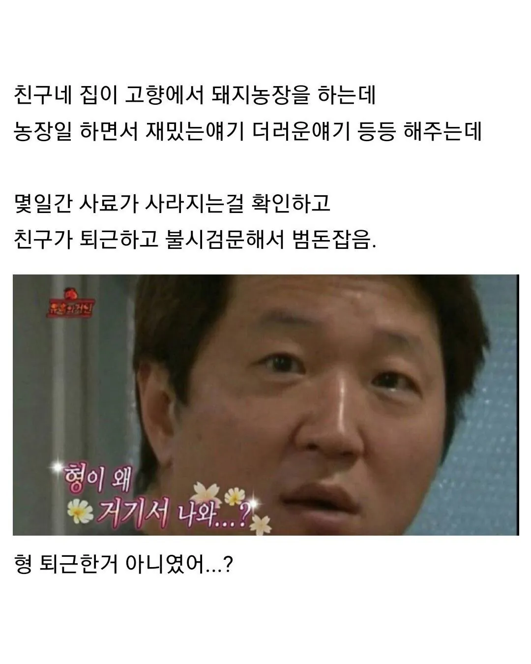 친구네 집 고향 돼지농장에서 생긴 일 | 인스티즈