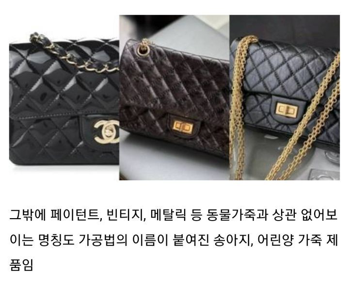 요즘 핫한 샤넬백 종류 | 인스티즈