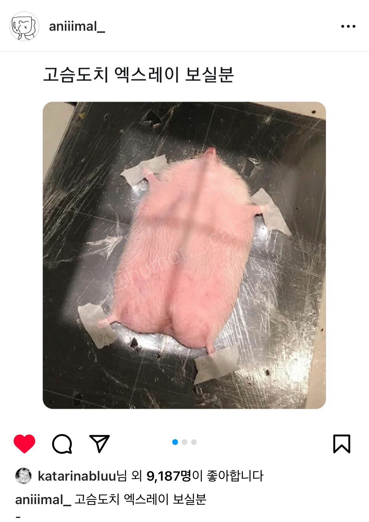 에스파 카리나가 좋아요 누른 인스타글 | 인스티즈