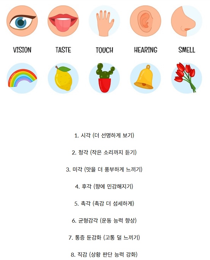 평생 하나의 감각을 더 강화할 수 있다면? | 인스티즈