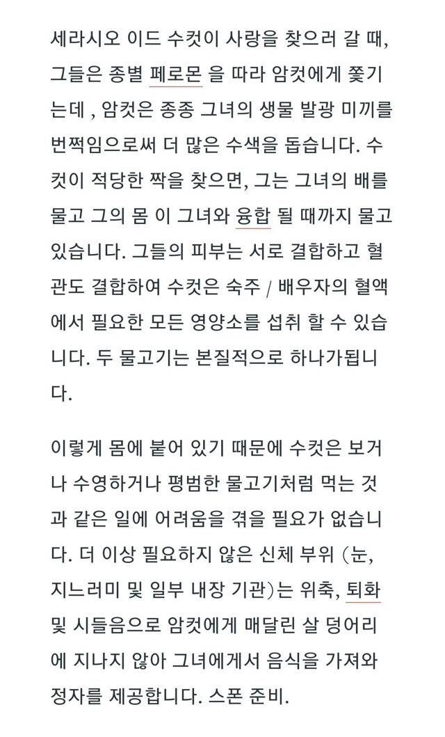 국내에는 잘 안 알려진 세계의 미스터리한 썰 10가지 | 인스티즈