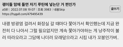 고양이들 뭐 맘에 드는 거 있으면 자기 루틴에 넣는다는 거 찐인가봐 | 인스티즈
