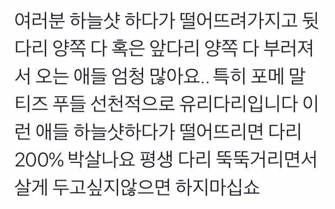 댕댕이 하늘샷 하지마세요 제발 | 인스티즈