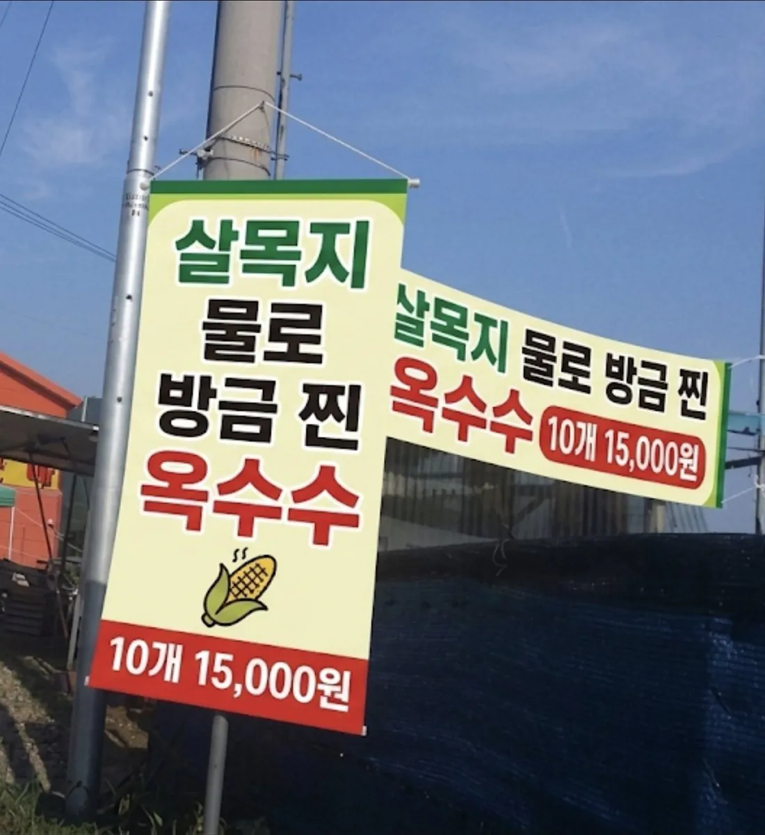 살목지 옥수수.jpg | 인스티즈