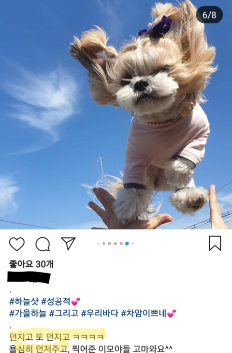 댕댕이 하늘샷 하지마세요 제발 | 인스티즈