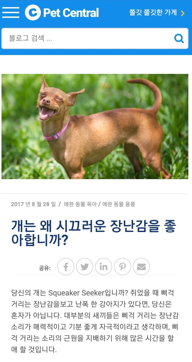 국내에는 잘 안 알려진 세계의 미스터리한 썰 10가지 | 인스티즈