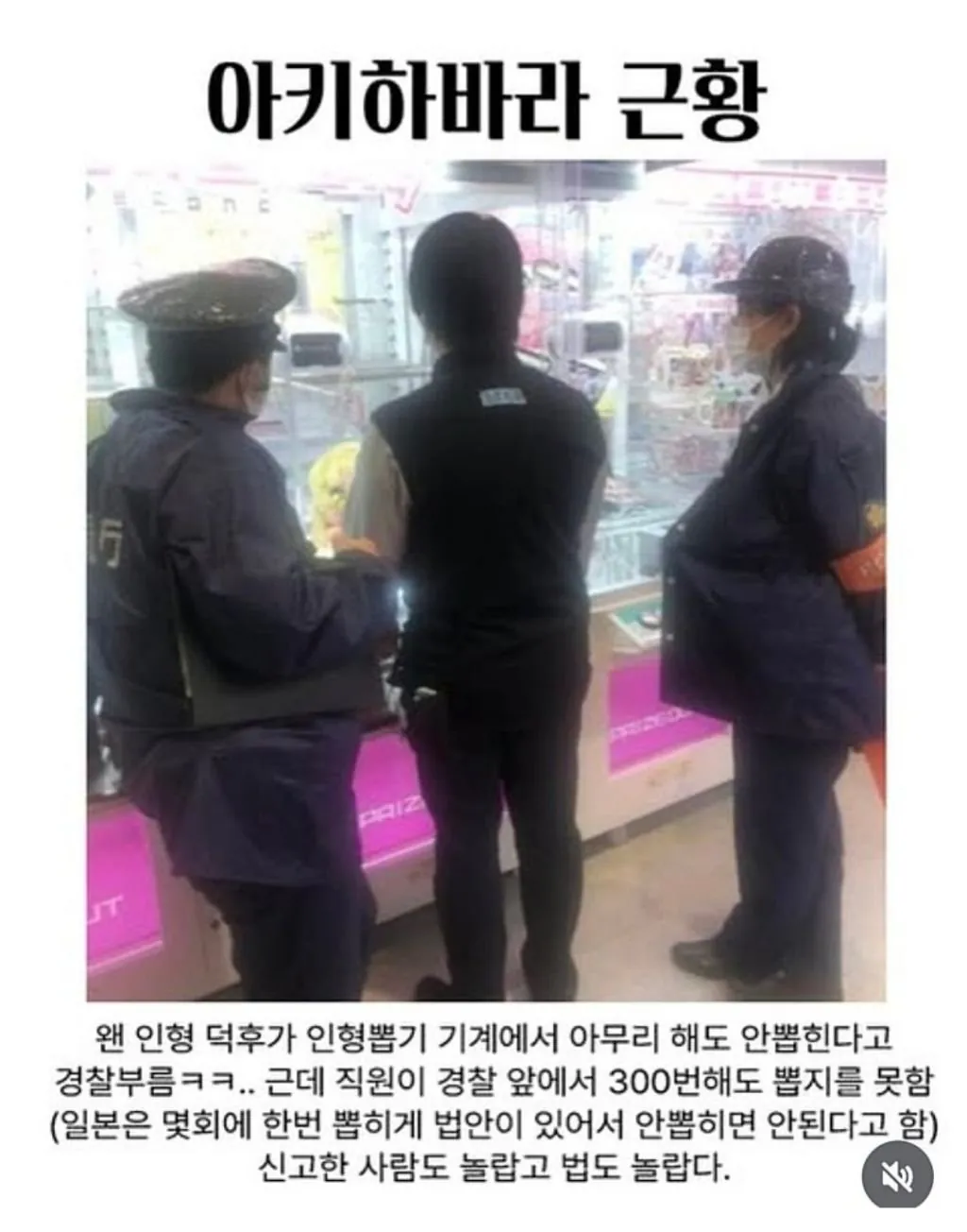 일본 인형 뽑기 근황 | 인스티즈