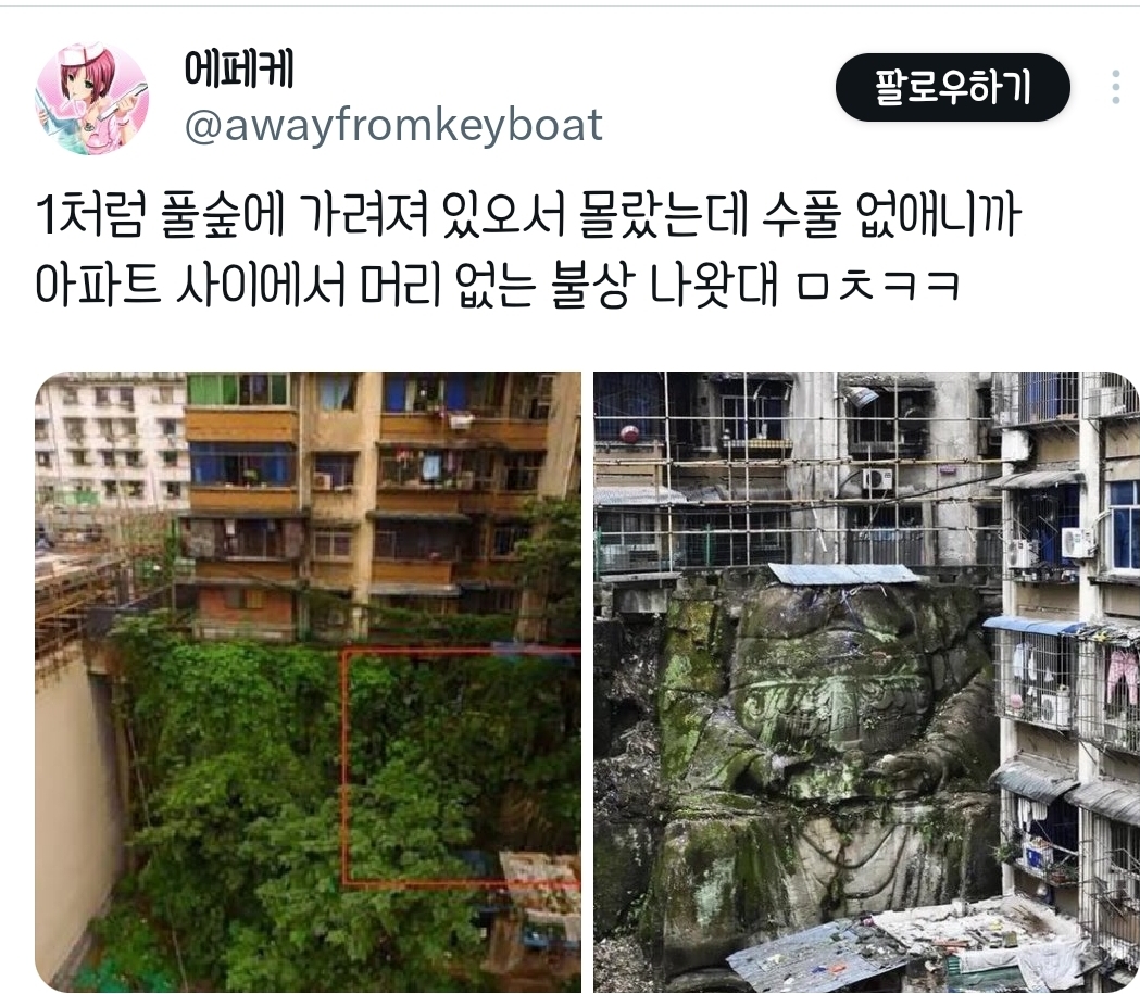 머리 없는 불상이 발견 됐는데 영화 도입부 같음 | 인스티즈
