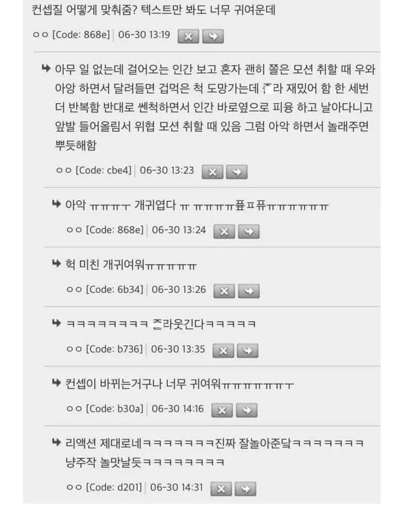 고양이들 뭐 맘에 드는 거 있으면 자기 루틴에 넣는다는 거 찐인가봐 | 인스티즈