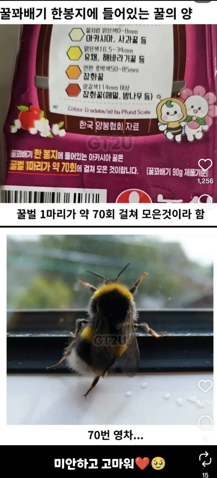꿀꽈배기 한봉지에 들아가는 꿀의 양 | 인스티즈