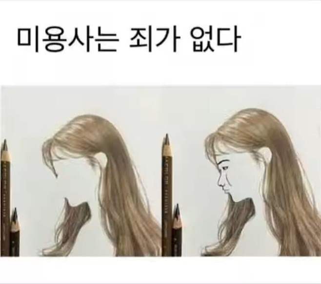 미용사는 죄가 없다 | 인스티즈