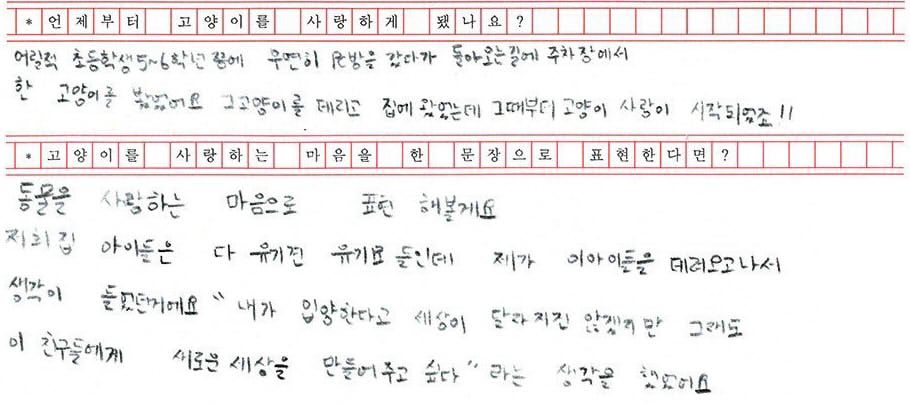 꾸준히 길고양이 돌보는 아이돌 | 인스티즈