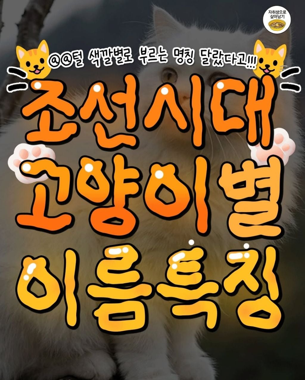 조선시대 고양이별 이름특징 | 인스티즈