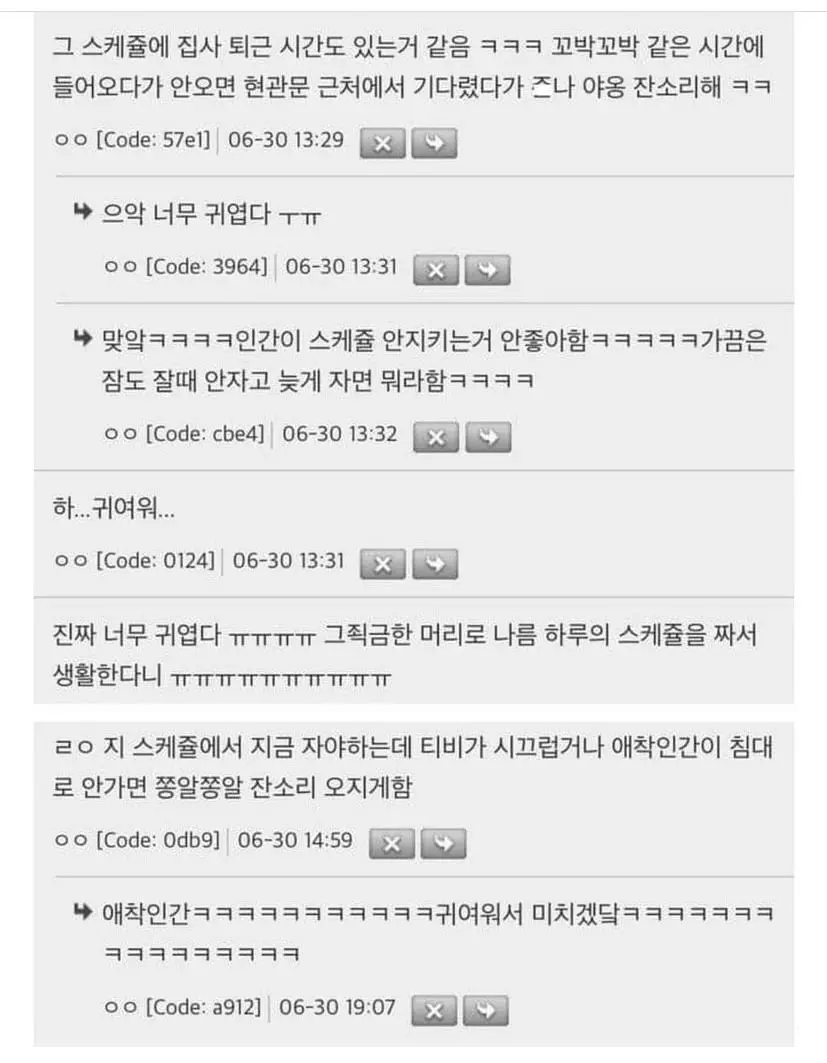 고양이들 뭐 맘에 드는 거 있으면 자기 루틴에 넣는다는 거 찐인가봐 | 인스티즈