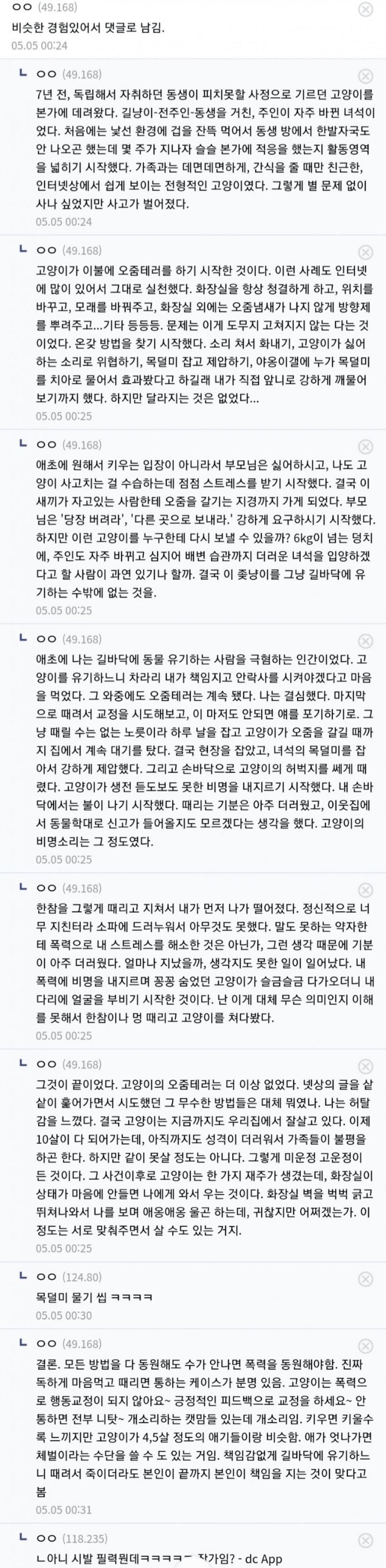 고양이를 체벌한 디씨인 | 인스티즈
