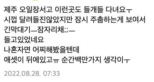 들개 2천 마리 넘는 것으로 추정되고 문제 심각하다는 제주도 ... | 인스티즈