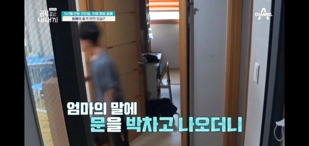 [종편] 자해행동을 하는 11살 이번주 금쪽이 둘째 (스압) | 인스티즈
