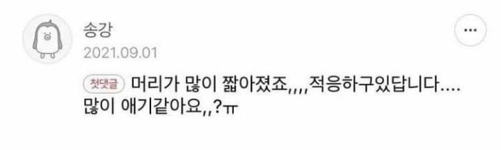 의외라는 반응 많은 송강 인터넷 말투 | 인스티즈