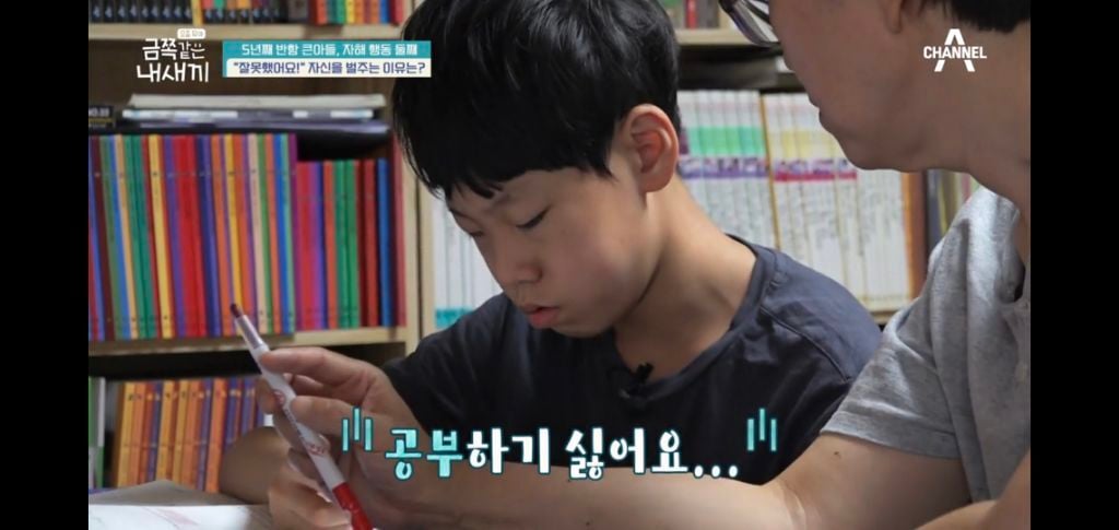 [종편] 자해행동을 하는 11살 이번주 금쪽이 둘째 (스압) | 인스티즈